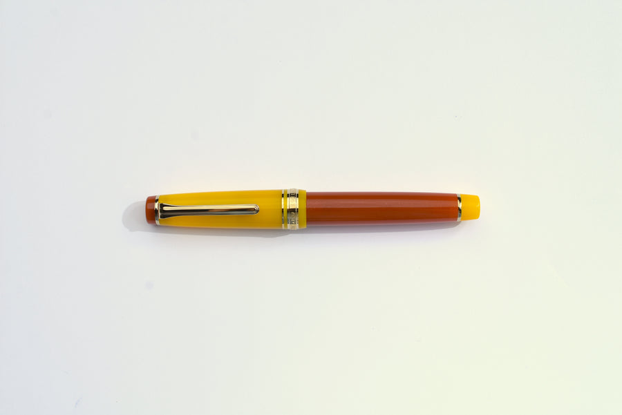Sailor Pro Gear Fountain Pen - Moonlight Over the Ocean
