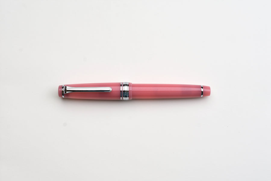 Nagasawa Original Standard Fountain Pen onomatope - dokidoki