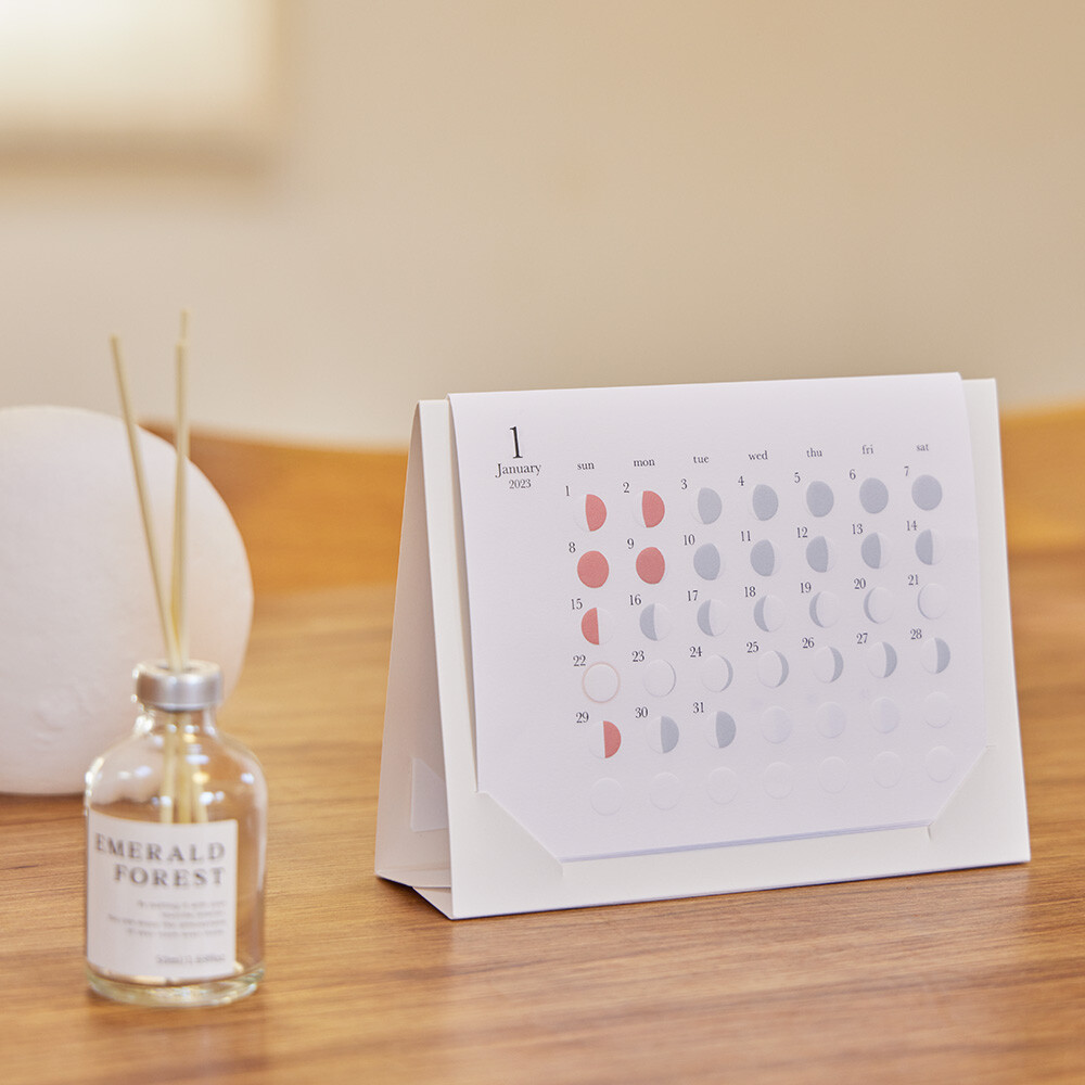 Replug 2025 Mini Moon Desk Calendar