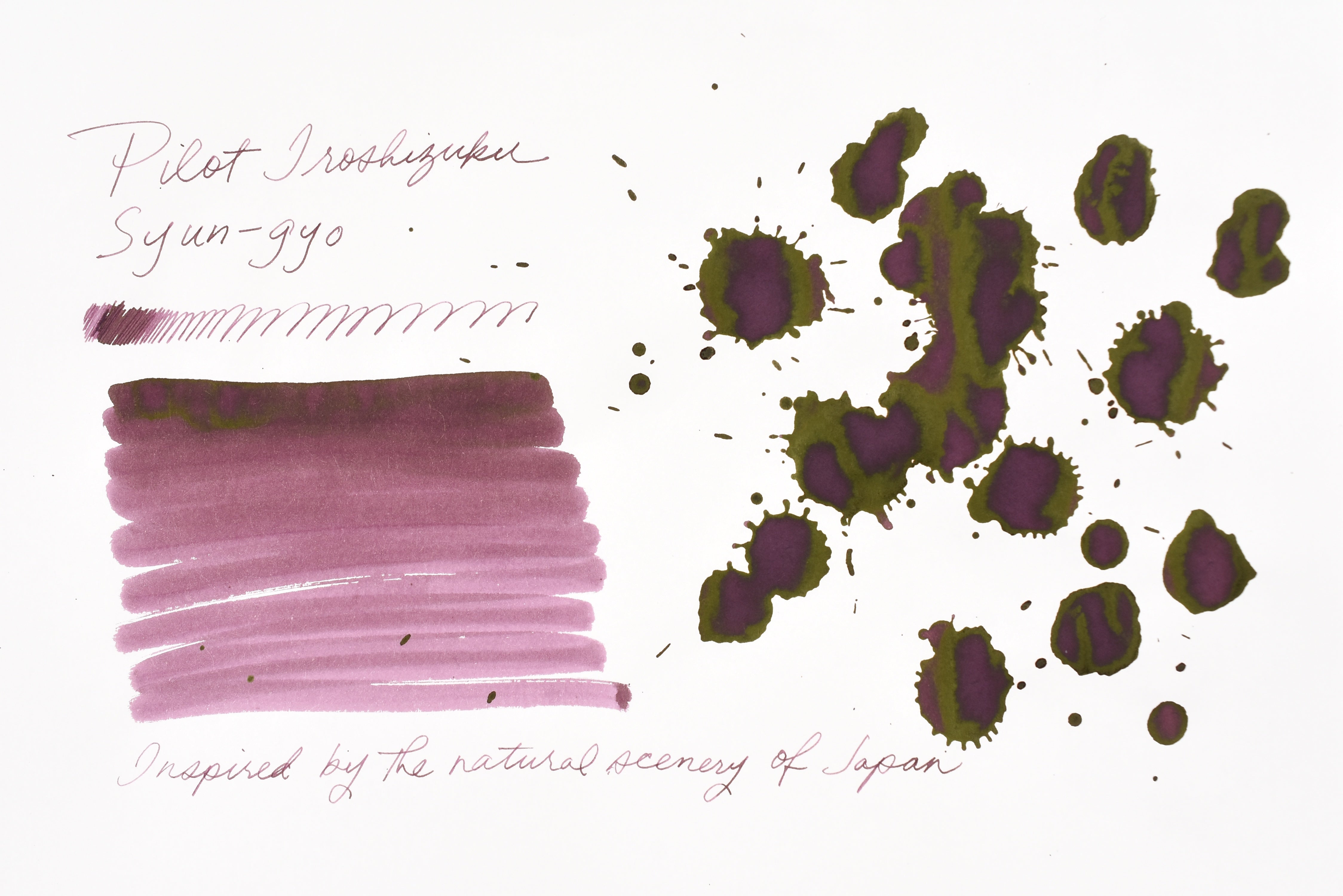 Pilot Iroshizuku Ink - Syun-gyo - 50 mL Bottle Ink
