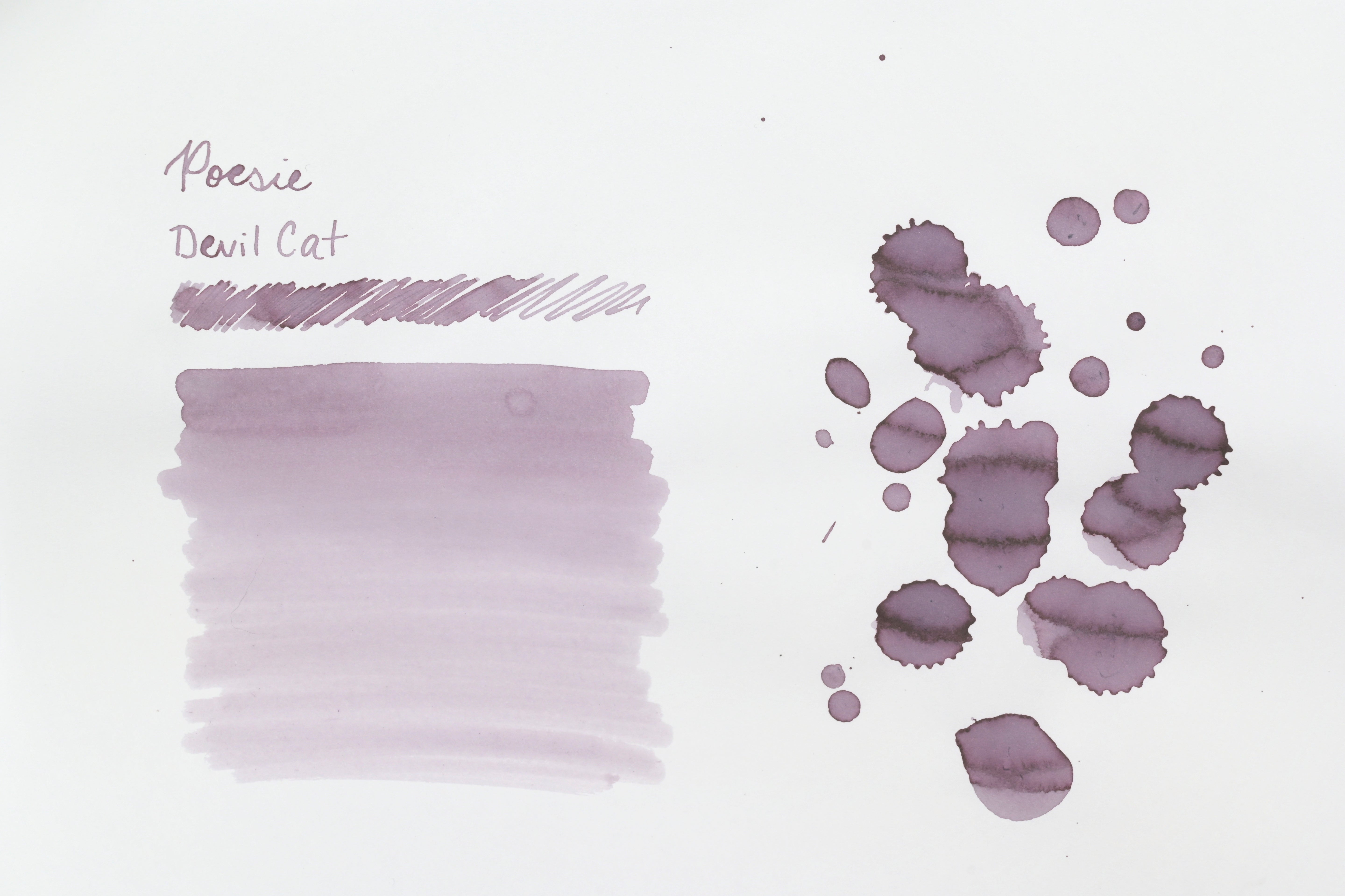 Poesie Original Ink - Devil Cat - 50mL