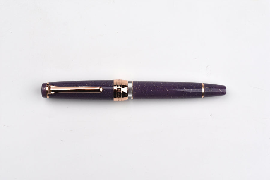 BUNGUBOX Original Large Fountain Pen - Piston - Tipsy Mood