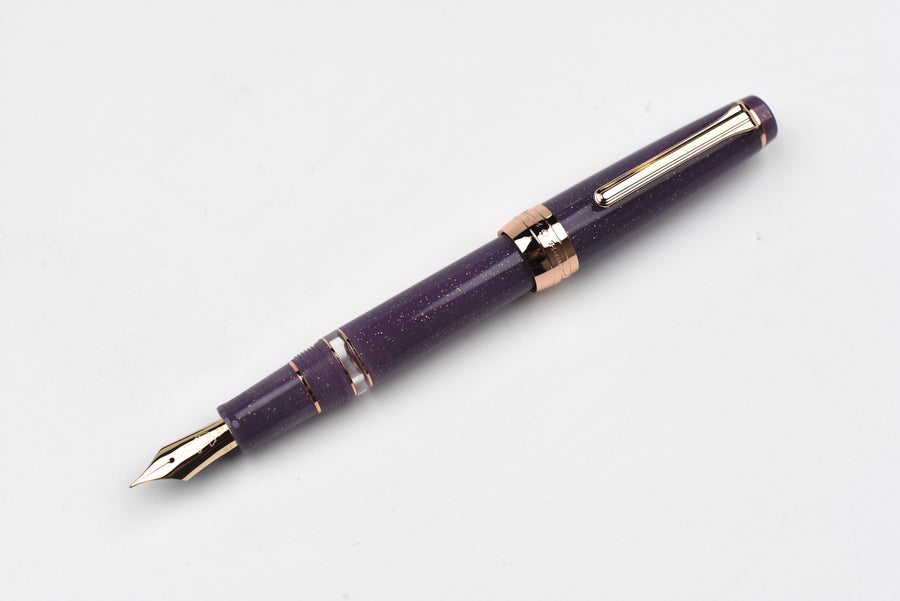 BUNGUBOX Original Large Fountain Pen - Piston - Tipsy Mood