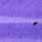 453 - 3ml