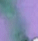 Ayame - 5ml