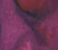 Claret - 5ml