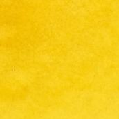 Day 22 - Pineapple Spritz