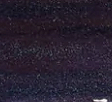 Day 5 Nightfall