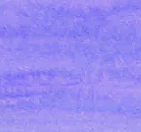 Day 8 Jacaranda