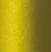 Dijon Yellow