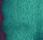 Emerald - 5ml