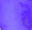 GoGo - 5ml
