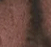 Golden Brown - 5ml