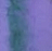 Hinoki - 3ml