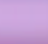 Hydrangea Purple