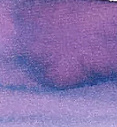 Lavender Coral - 5ml