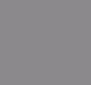 Mini Gray
