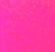 Neon Peach