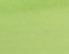No.72 無恙 Healthy - 3ml