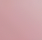 Pink Petunia