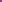 Purple Hydrangea