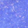 Ruriiro - 3ml